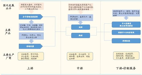 體外診斷3.0時代 分子診斷百花齊放，基礎軟件是決勝先機
