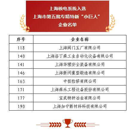 上海閥門五廠 以突破性閥門基礎(chǔ)軟件躋身“小巨人”，砥礪前行無畏創(chuàng)新華章